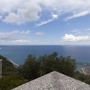 Villa Degli Ulivi B&B